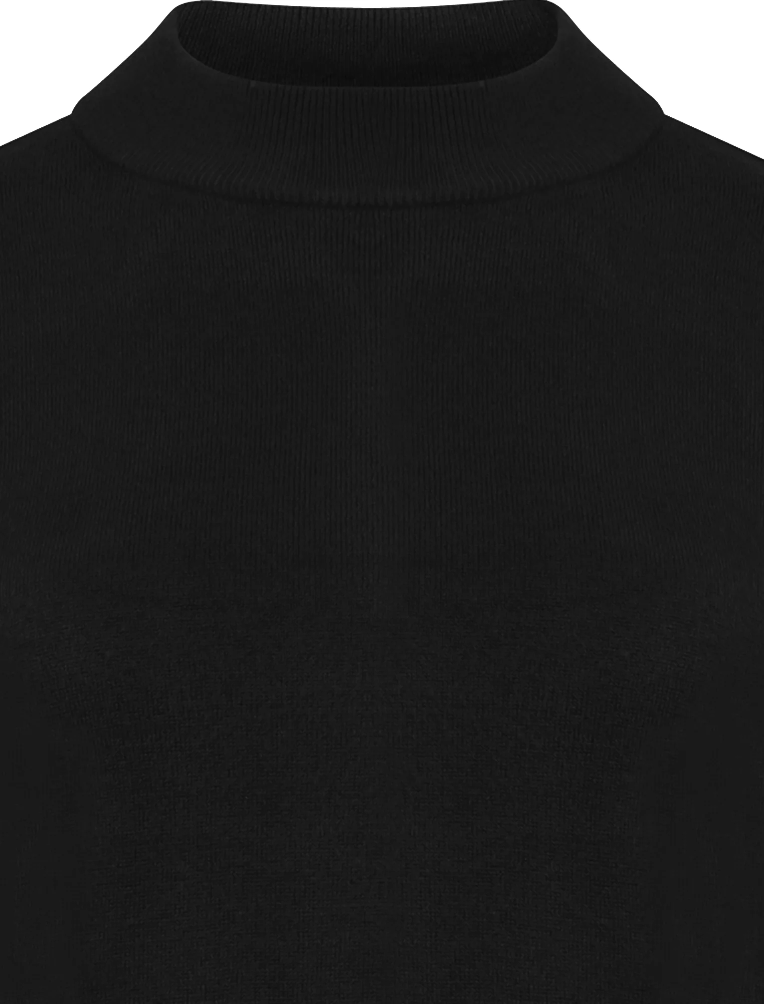 Ramsay Turtle Neck Cashmillon Knitted Jumper in Black - Plum Tree - Image 3